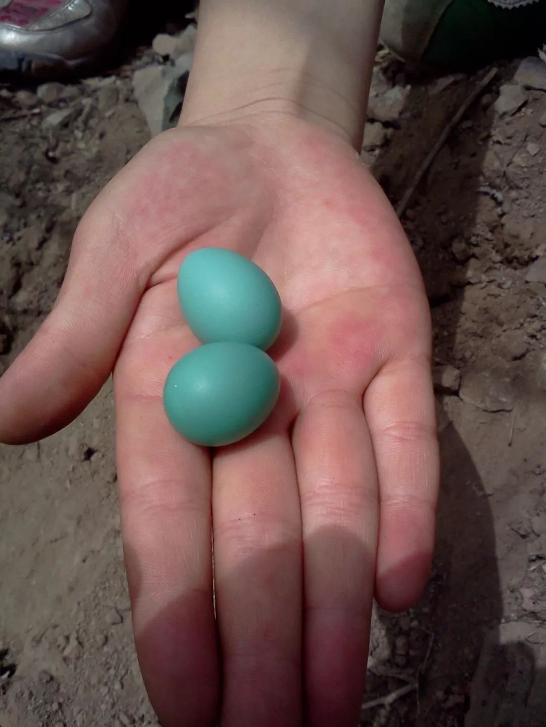 tiffany蓝白银,tiffany蓝价钱