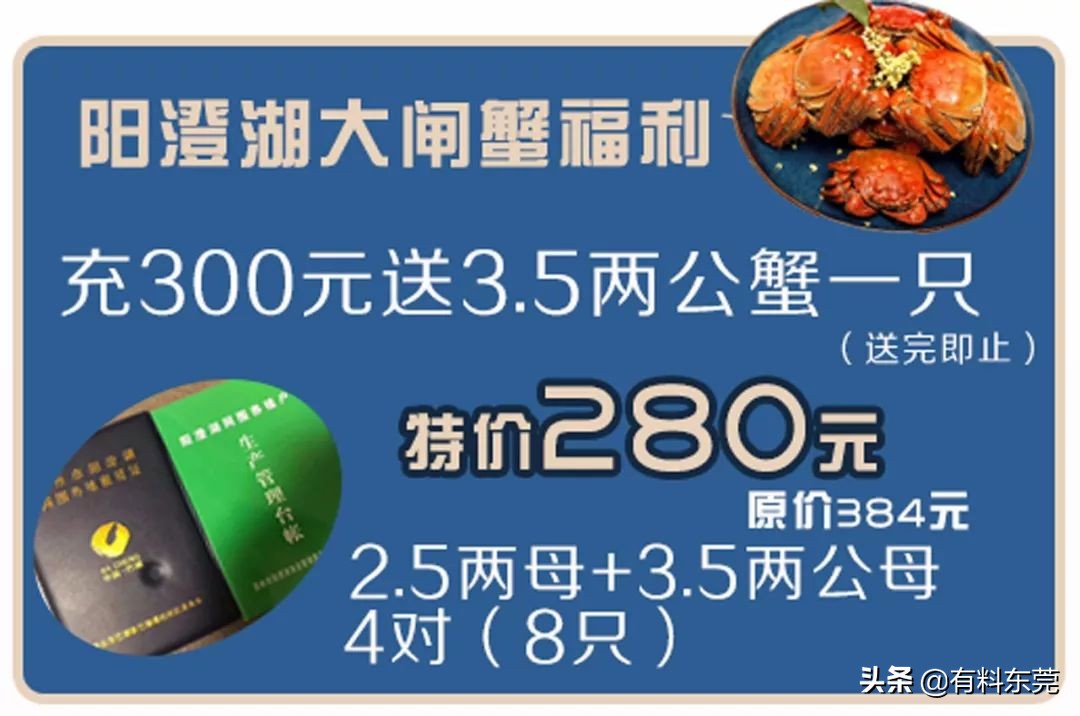 石锅鱼翅花胶捞饭团购,上海花胶鱼翅捞饭