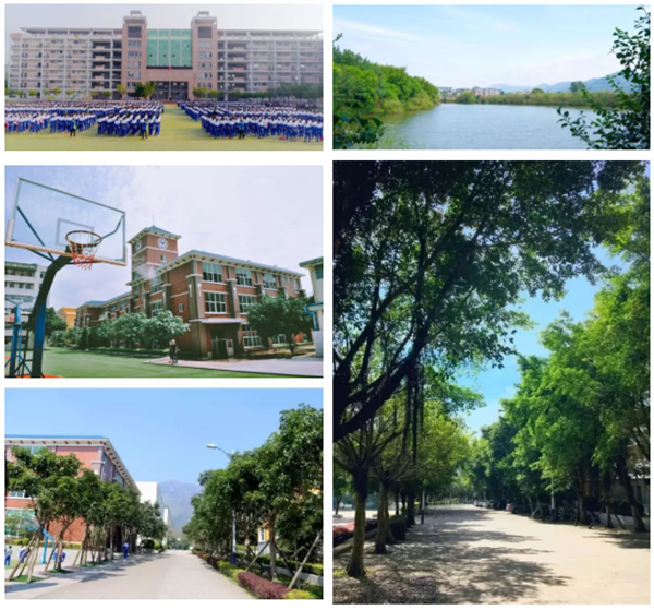 在贵族学校上学是什么体验,家门口走读学校是什么体验