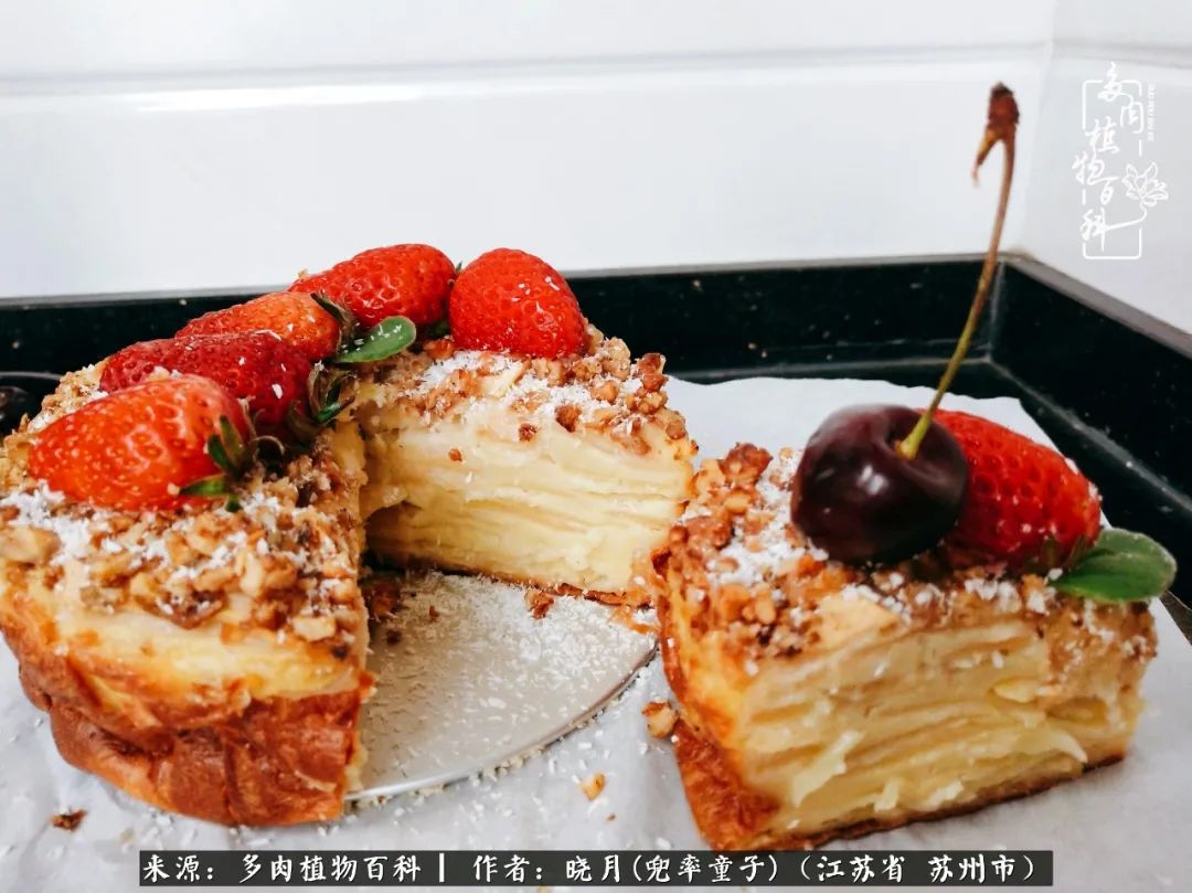 六年时间环游22个国家，却被多肉小萌物征服