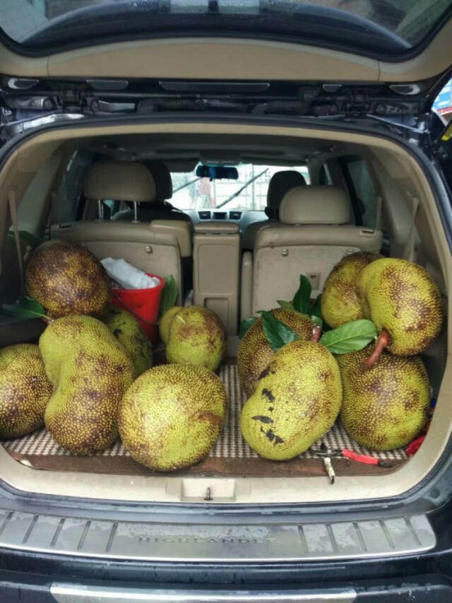 八年15万公里的汉兰达,11万公里的汉兰达值得买吗