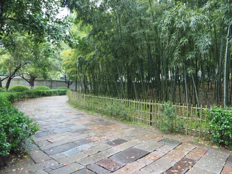 春节乌镇旅游攻略3天2晚,冬季乌镇旅游攻略3天2晚明细