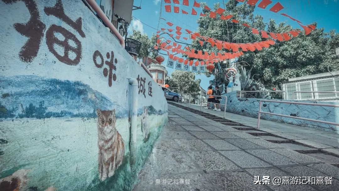 去厦门必须体验的六件事,送给第一次去厦门的五点建议