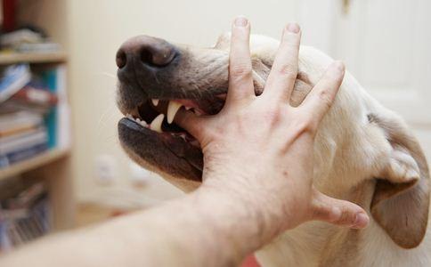 狗狂犬病发作的症状表现,狗得了狂犬病什么表现