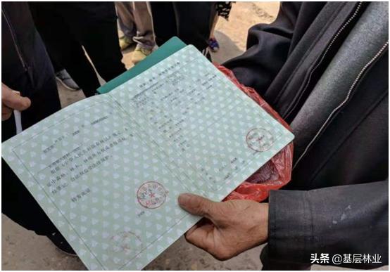 农村山林证遗失能补办吗,农村山林土地证遗失怎么办