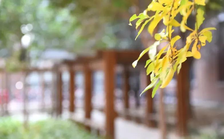 石家庄二中南校区怎么样,石家庄二中怎么样好不好