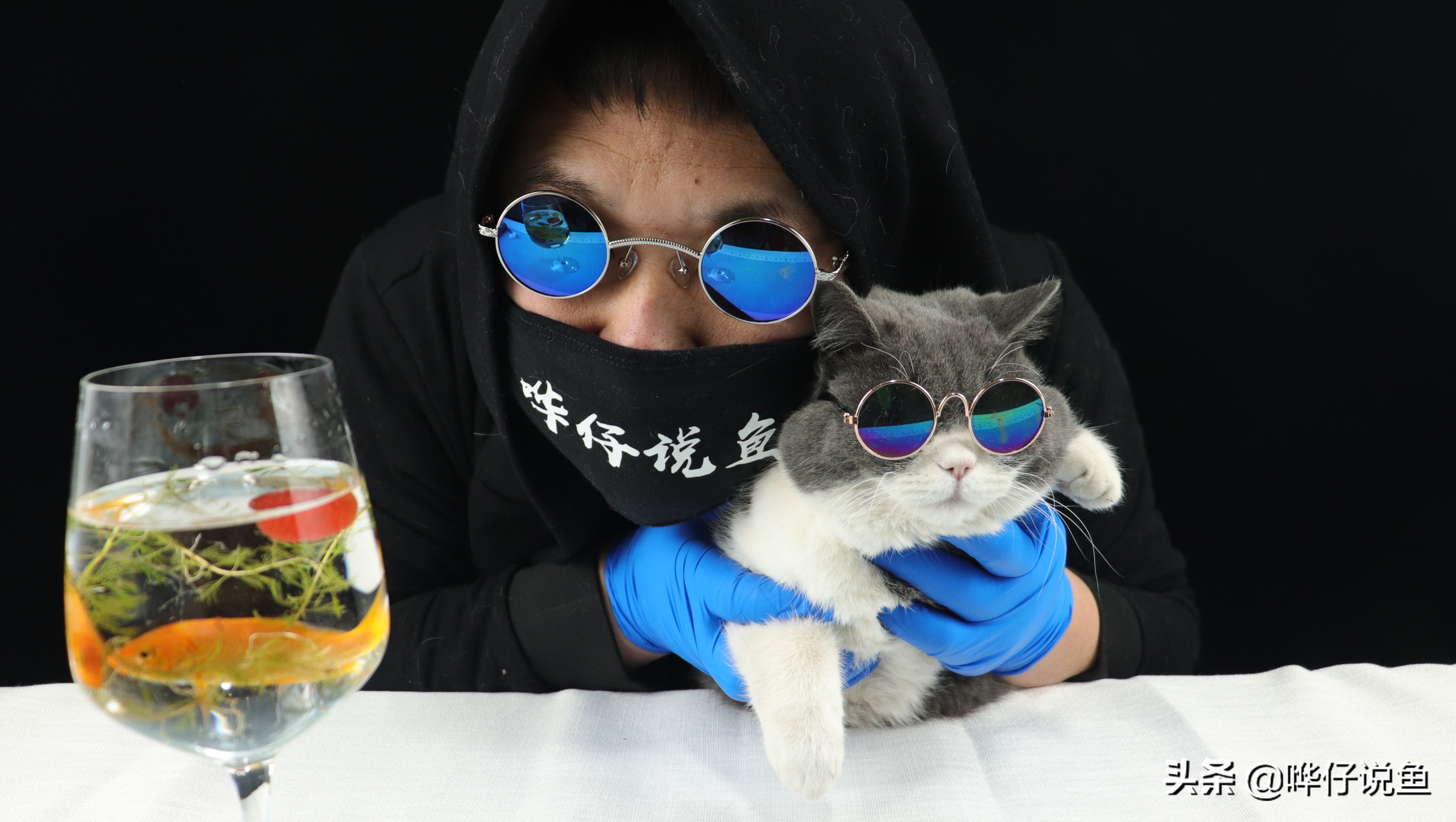 鱼缸养鱼水质ph,鱼缸养鱼怎么保持水质清澈