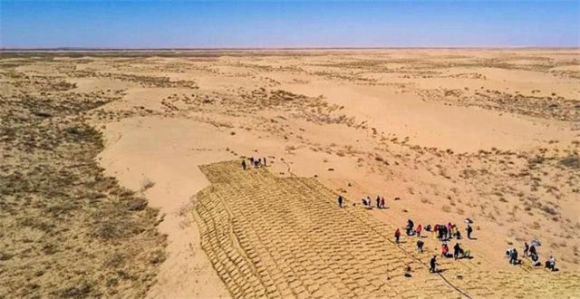 蚂蚁森林是国家出钱还是马云出钱,马云的蚂蚁森林现在进展怎么样了