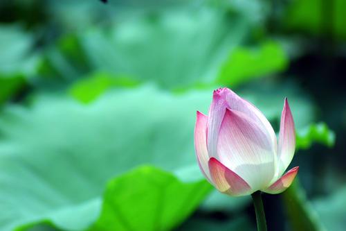 聊聊合肥,聊聊合肥职业技术学院