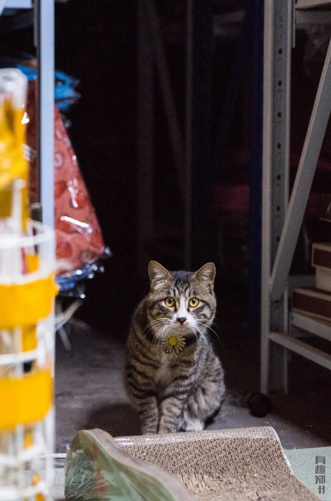 郑州弓背街与上元街,郑州弓背街