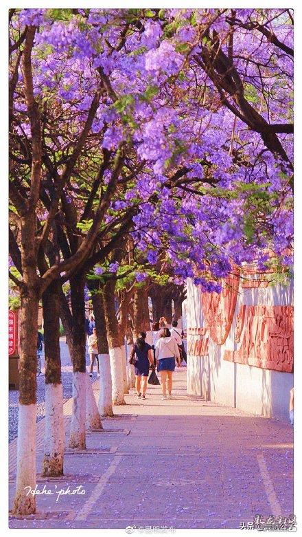 被大理的美景所折服,被丽江的风景美到了