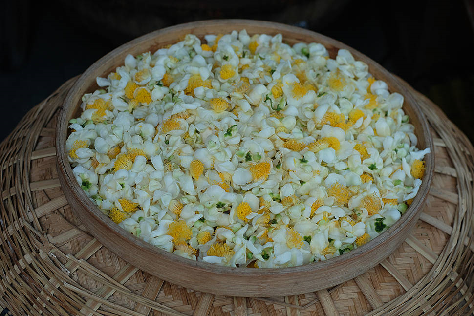 抹茶到底是怎么吃,抹茶到底有多难吃