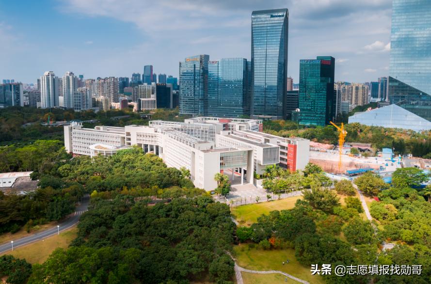深圳大学专业性比较强,最好的大专深圳大学