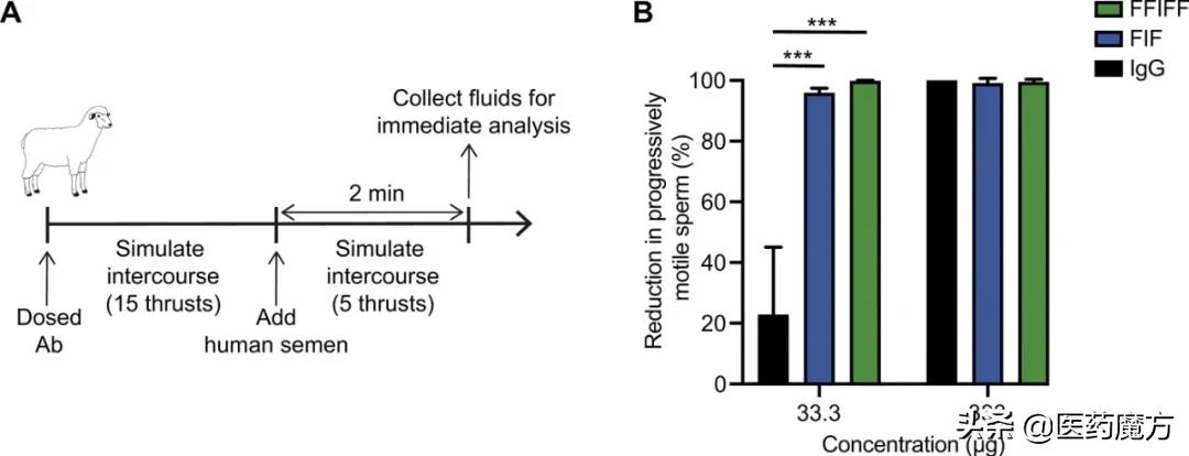 抗精子抗体避孕,避孕了抗精子抗体越来越高