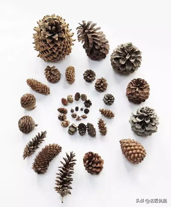 超简易手工环创,树干手工制作环创