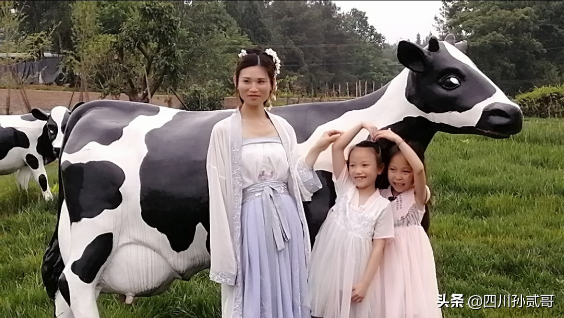 雪宝奶牛场,参观雪兰牛奶工厂心得体会