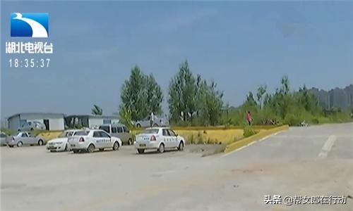 驾校教练承担责任,学员犯错驾校教练负什么责任