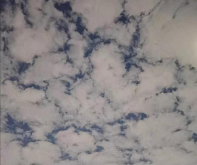 你考驾照是一种怎么样的经历,你考驾照全部一次过吗