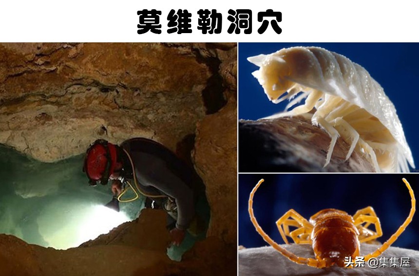 天空上下起蜘蛛雨,天空下蜘蛛雨视频