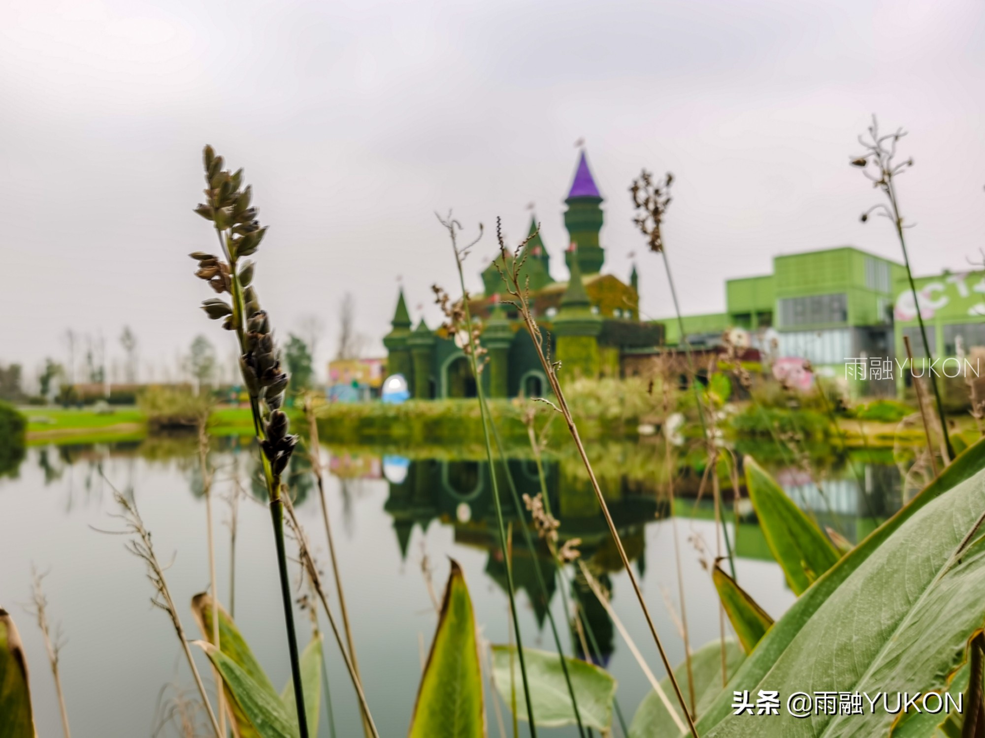 坐拥2项世界纪录的公园:拥有2.2万平米花海,门票仅30元却少有知