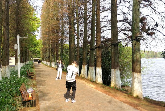 美丽的南湖公园夜景,南湖风景区真的太美了