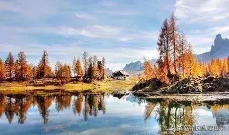 8个小故事道理很深故事很短,一年级课外小故事简短有道理