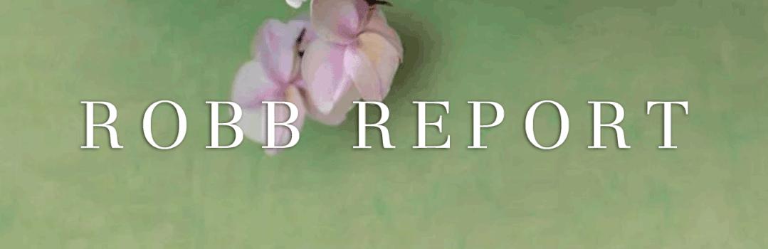 RR·TRENDS|时尚与实用兼顾的中国“轻奢”军团