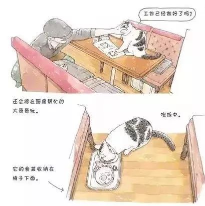 0-3岁猫咪可爱绘本,诚实的猫咪3-6岁儿童经典绘本