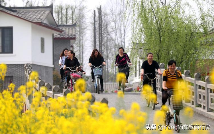 谈一谈对乡村振兴战略的理解,从三农方面写一篇乡村振兴的文章