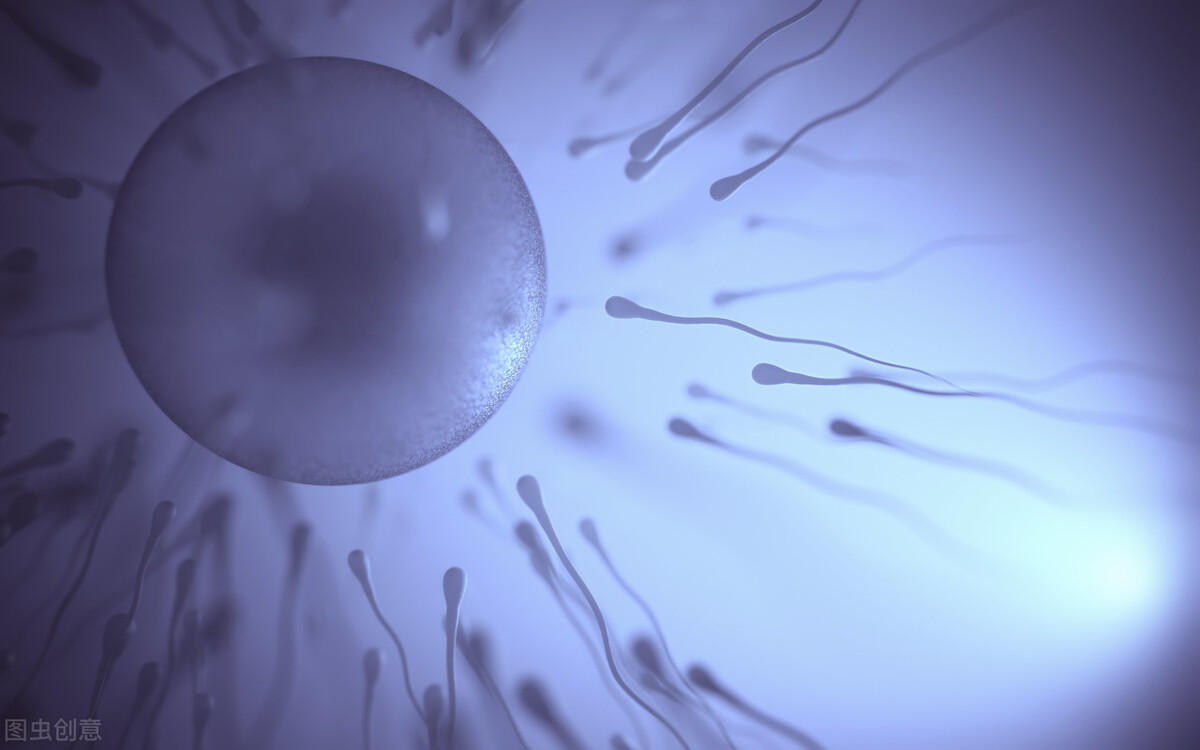 精子浓度低和精子总数少原因,精子少精子弱精子不液化怎么治