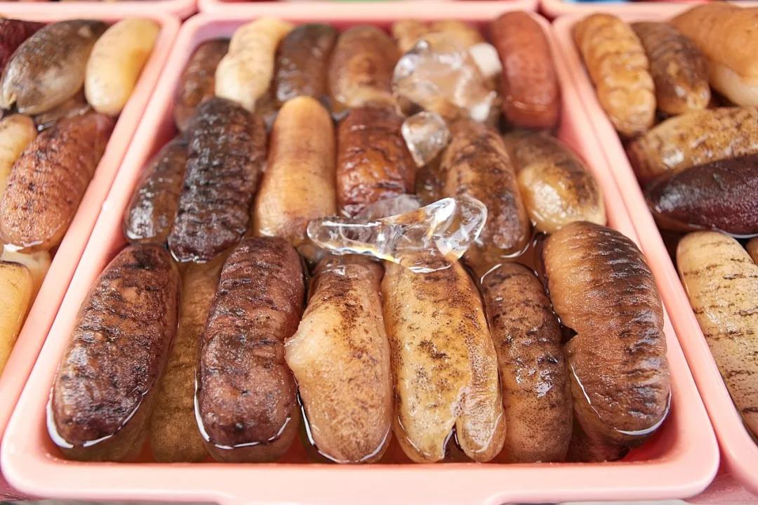 海参辽参刺参哪种参最好,海参刺参跟红参的区别