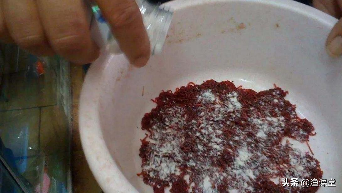 钓黑坑用红虫可以不可以,钓黑坑为啥不让用红虫