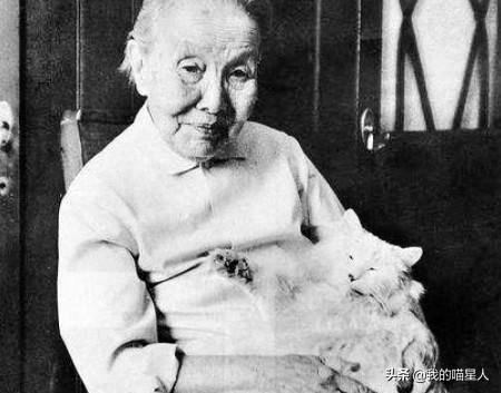 猫的魅力有多大?就连著名作家冰心奶奶也是资深“猫奴”