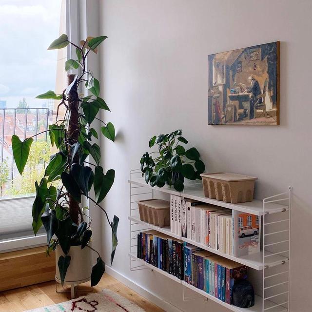 德国夫妇的二人世界:从无到有,全屋简约精致,治愈许多人