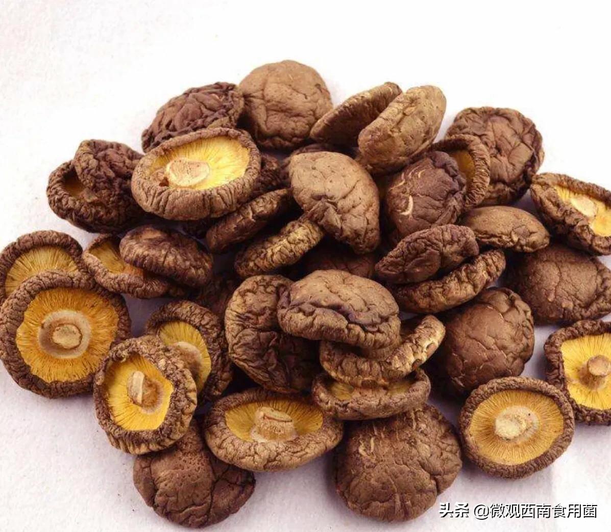 香菇烘干一般需要多少度,香菇烘干技术要点