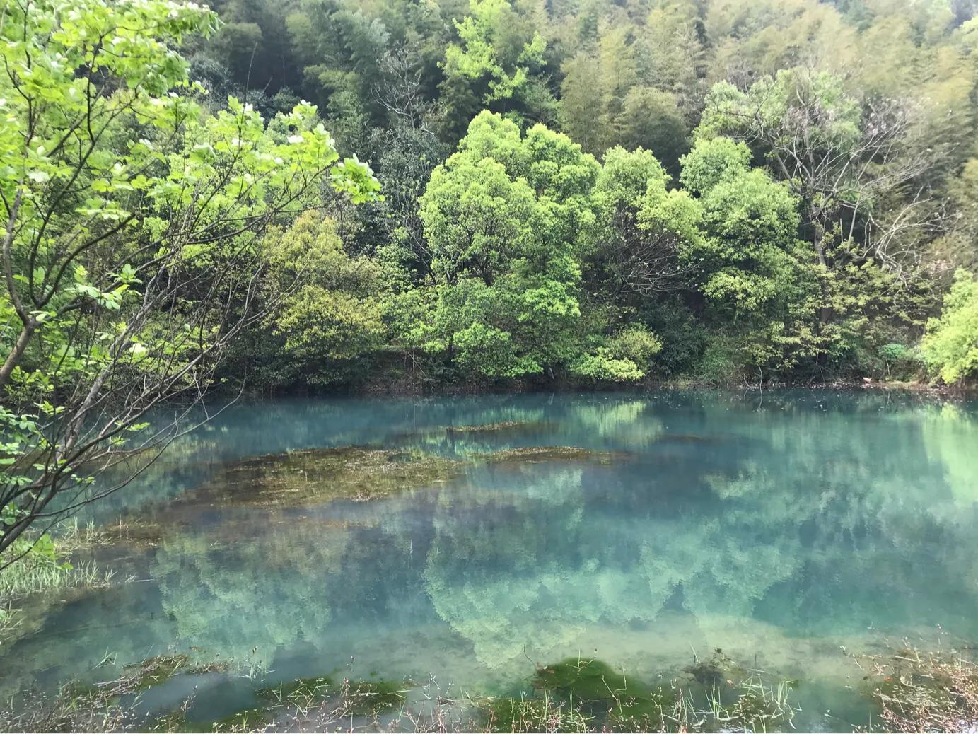 多囊卵巢综合征pcos是什么,多囊卵巢综合征的中医辨证论治