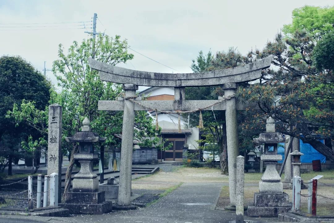 带着父母坐游轮到日本旅游,搭上邮轮去带着全家去旅行