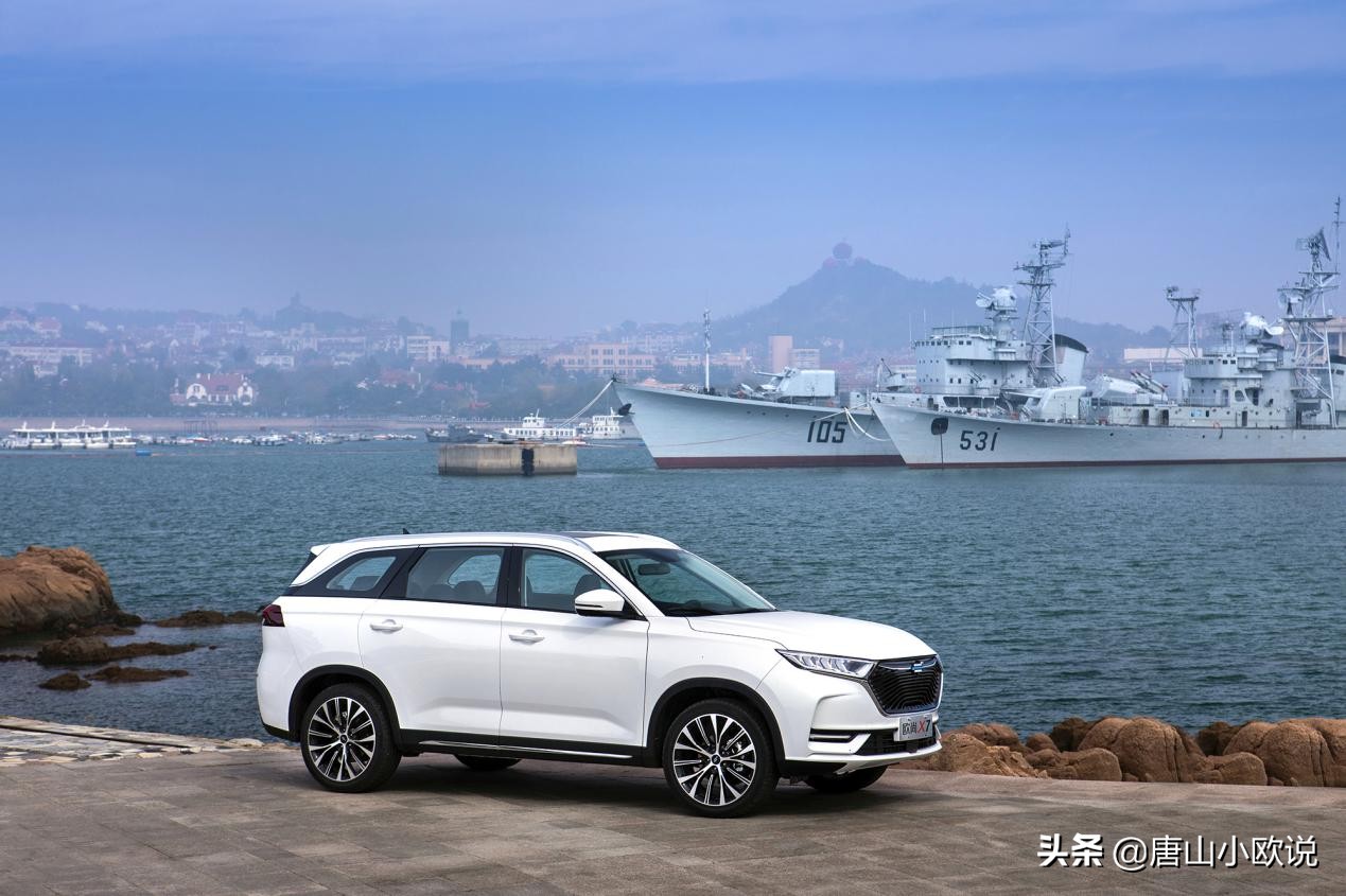 国货界的扛把子,国货界扛把子