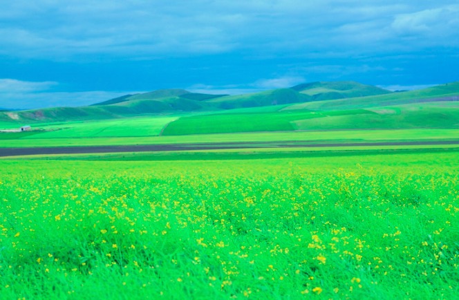 白居易的草诗名到底哪个是正确的,白居易的诗草意思是什么