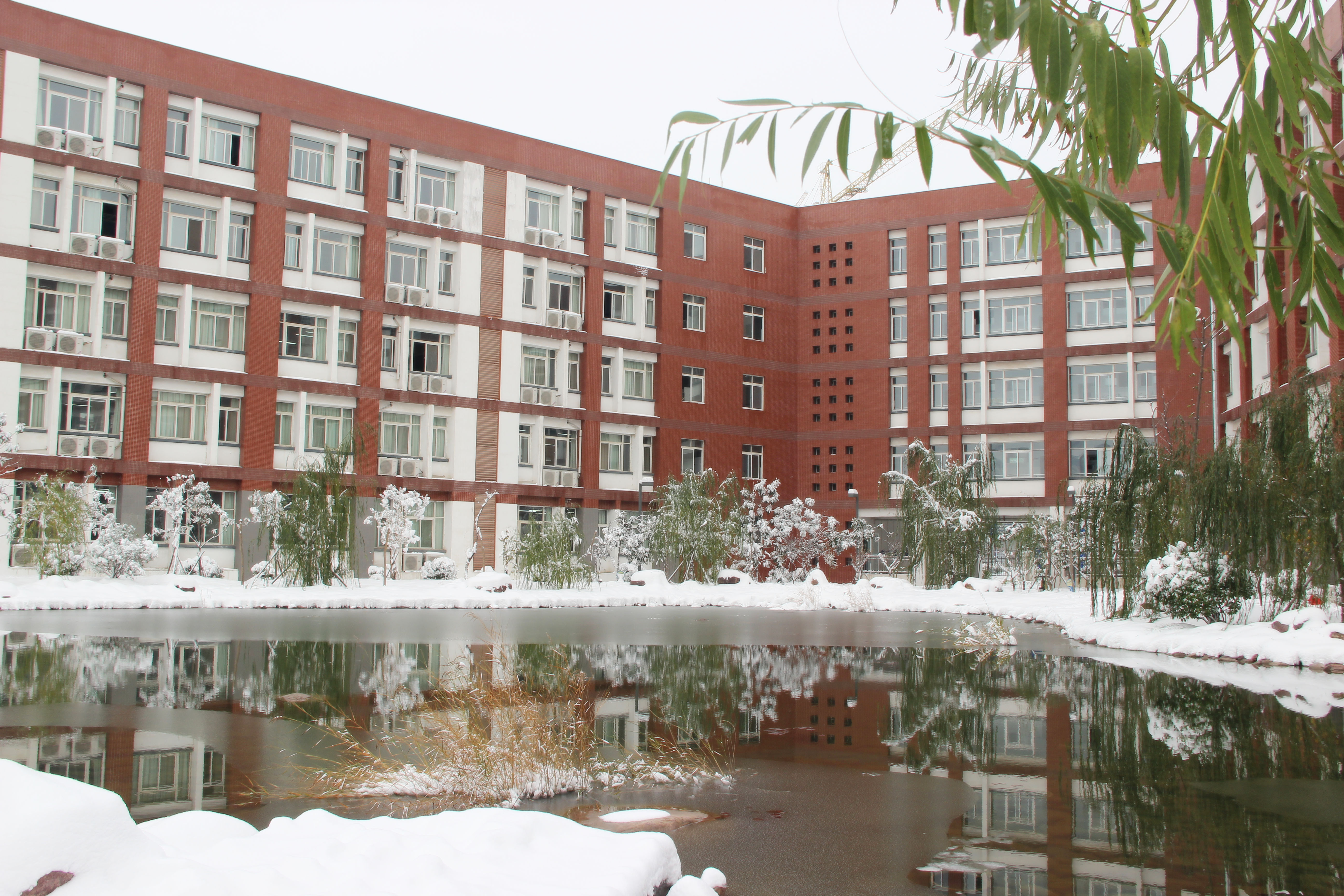 郑州经开区外国语中学鸟瞰图,郑州外国语初中航拍