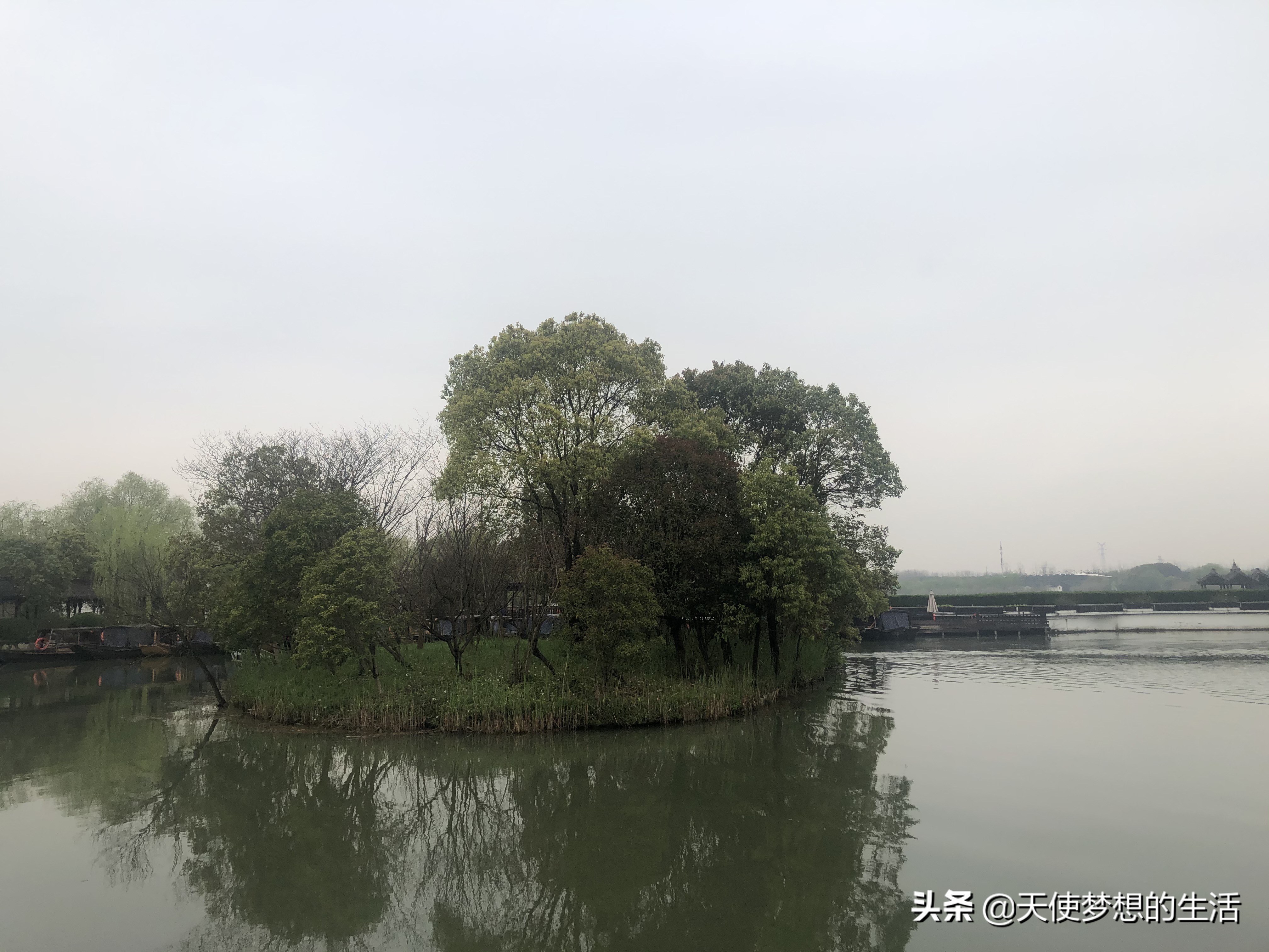 苏州常熟沙家浜有什么好玩的,常熟沙家浜芦苇荡