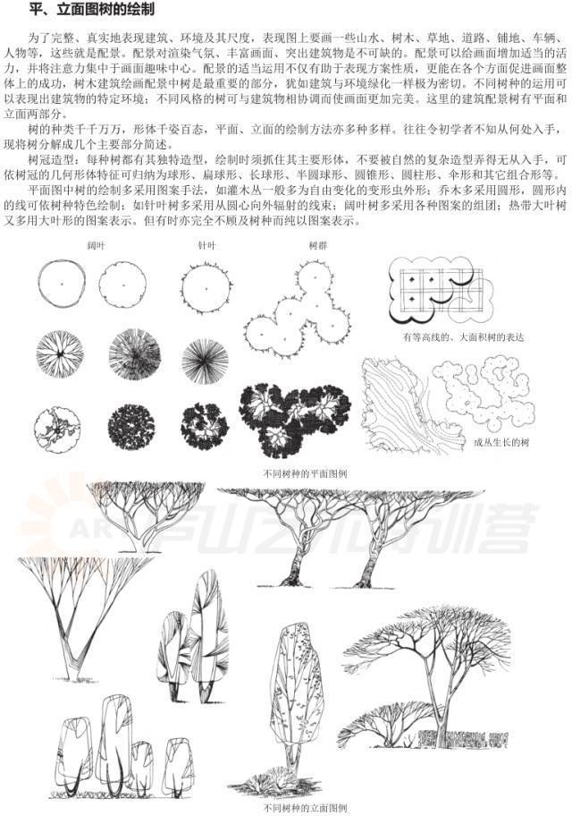 儿童绘画涂色基础入门教程,零基础新手绘画入门教程