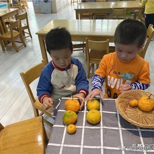 小班课程故事《好吃的桔子》