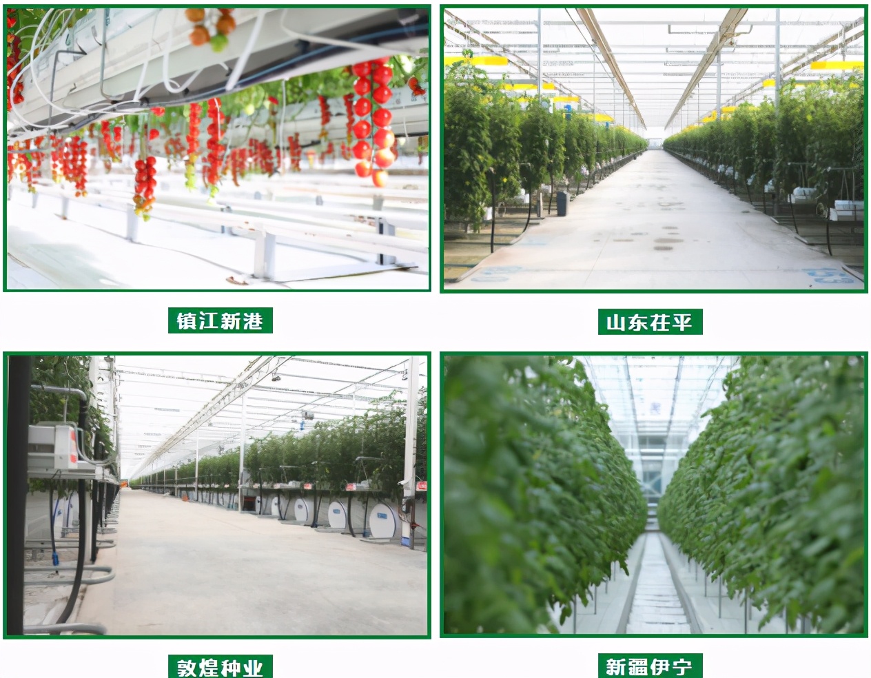 现货批发椰糠栽培基质,进口优质椰糠基质