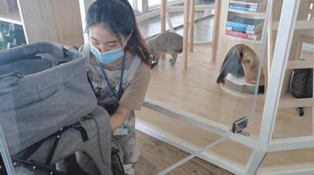 天津天塔里面都有什么,天津的宝藏地点