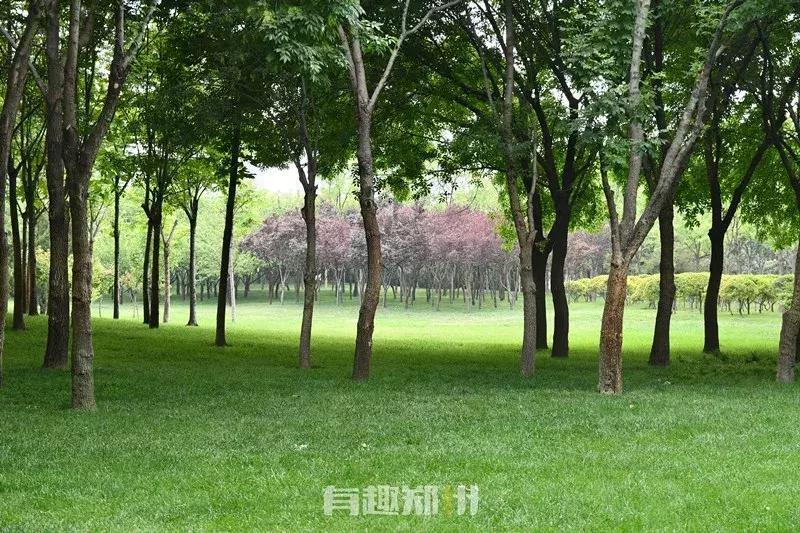 郑州地铁5号线沿线美景,郑州地铁5号线景点适合3月打卡地