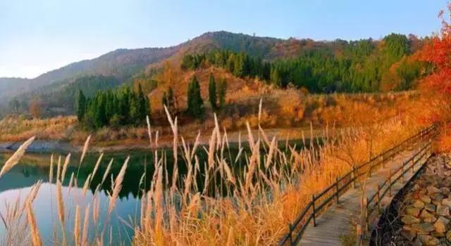 邂逅秋天的千岛湖!光看图已美醉,住这7家美宿避开人群赏湖景山色