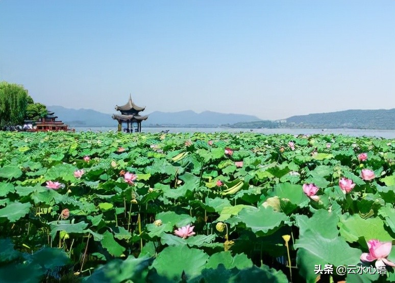 堪称经典的十首古诗词,值得收藏的三大经典古诗词