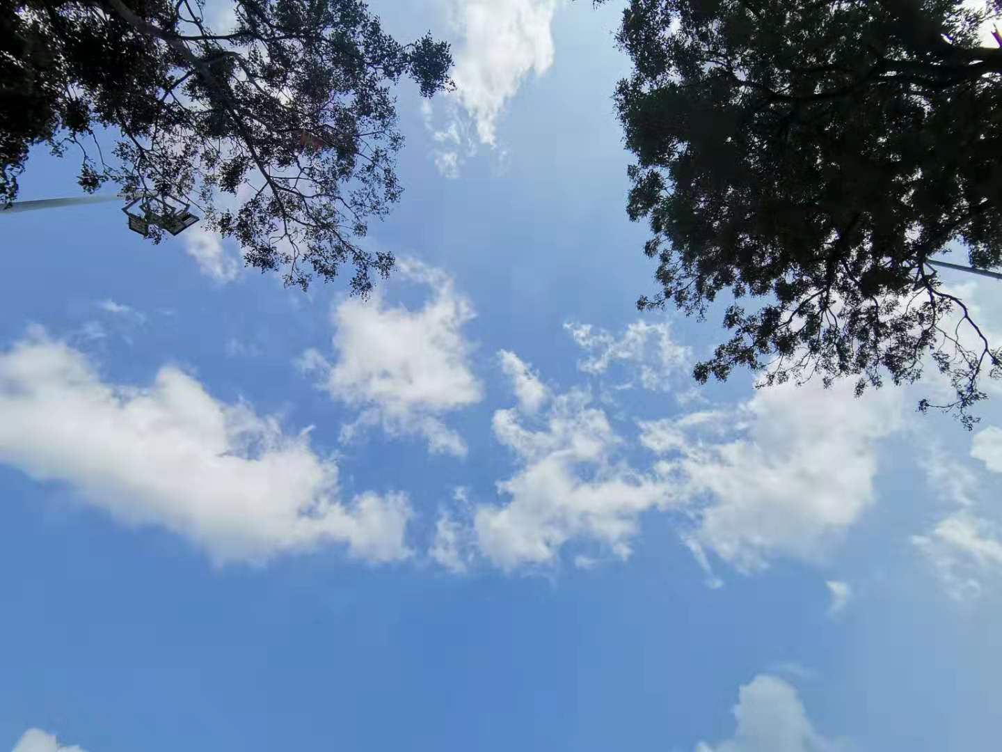 保守的人适合保守秘密吗,不能保守秘密的人什么心理