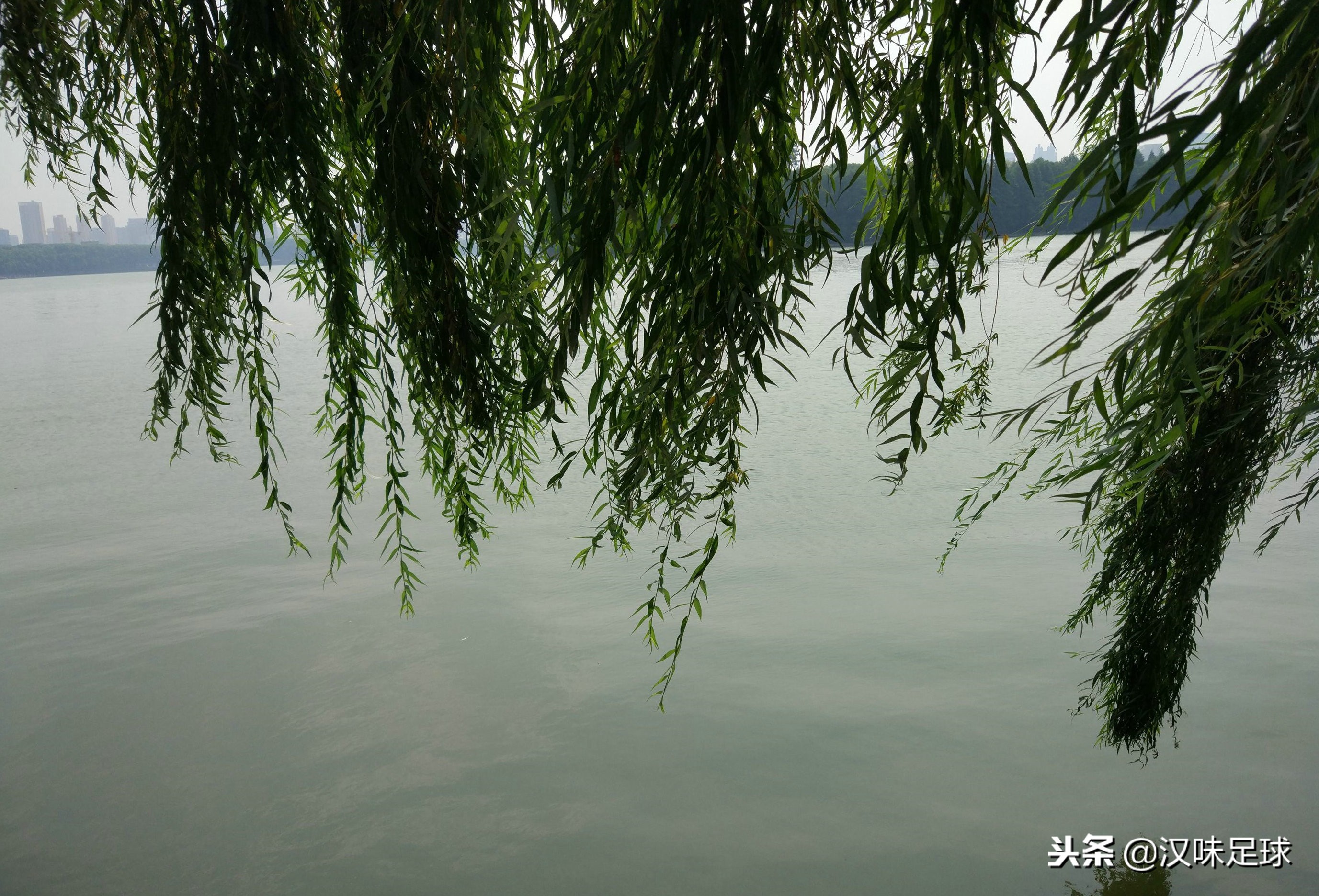 武汉卓尔首发介绍,再谈中国足球